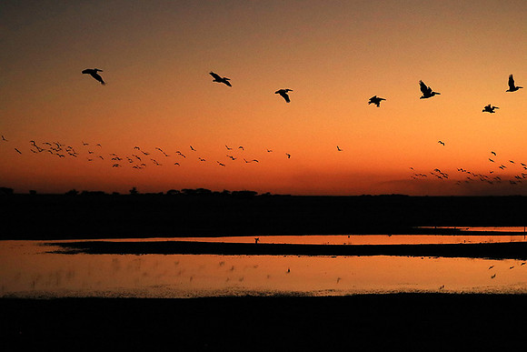 Sunset - Liuwa Plain NP