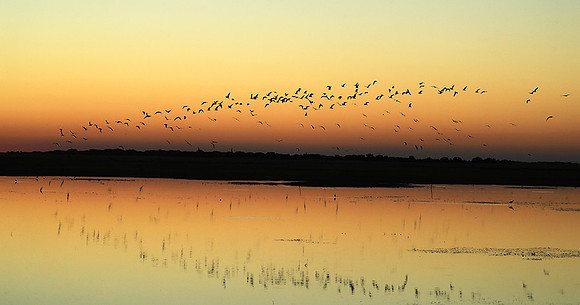 Sunset - Liuwa plain NP