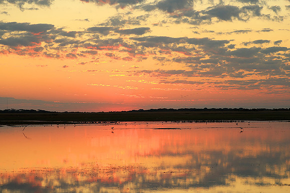 Sunset - Liuwa Plain NP
