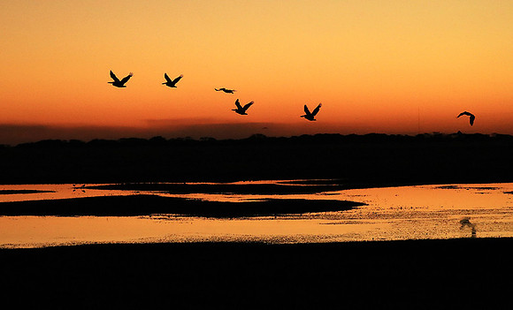 Sunset - Liuwa Plain NP