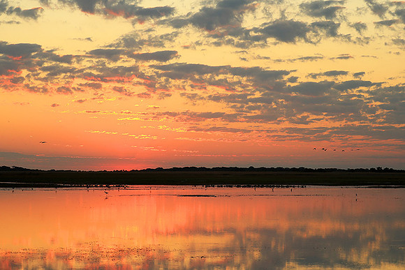 Sunset - Liuwa Plain NP