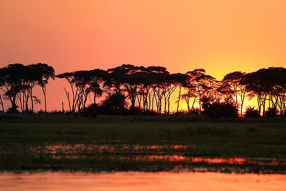sunset - Kafue National Park