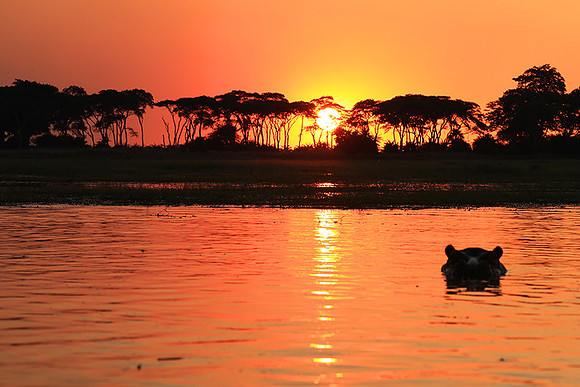 sunset - Kafue National Park