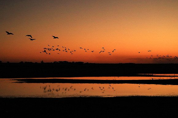 Sunset - Liuwa Plain NP