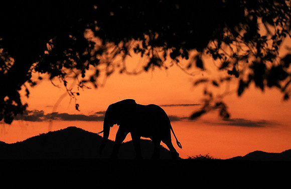 Sunset - Lower Zambezi NP