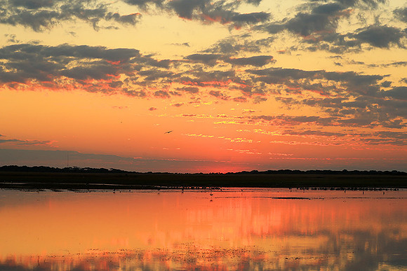 Sunset - Liuwa Plain NP