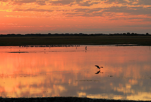 Sunset - Liuwa Plain NP
