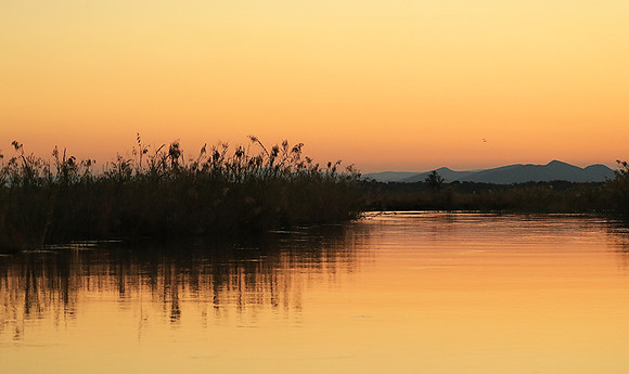 Sunset - Lower Zambezi NP