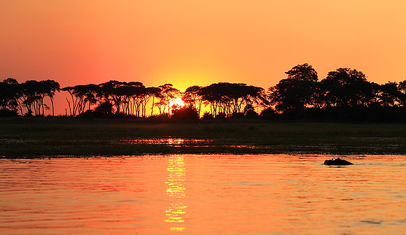 sunset - Kafue National Park