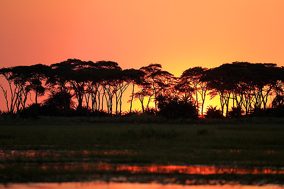 sunset - Kafue National Park