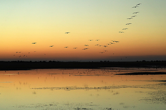 Sunset - Liuwa plain NP