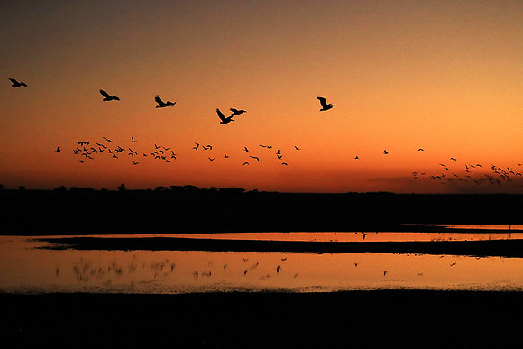 Sunset - Liuwa Plain NP