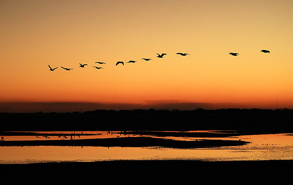 Sunset - Liuwa Plain NP