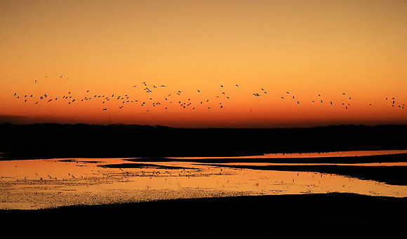 Sunset - Liuwa Plain NP