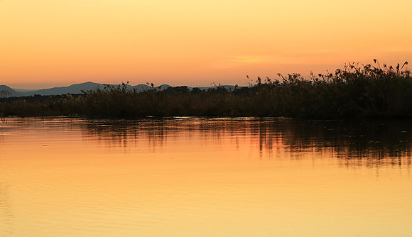 Sunset - Lower Zambezi NP