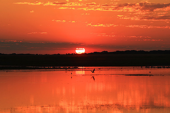 Sunset - Liuwa Plain NP