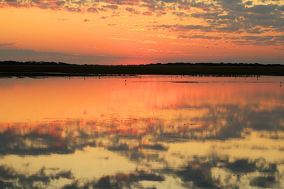 Sunset - Liuwa Plain NP