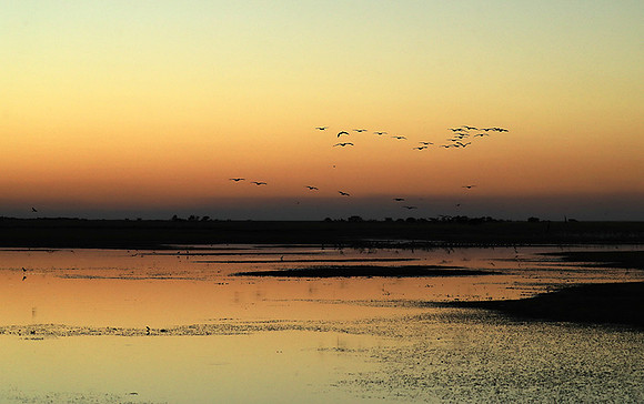 Sunset - Liuwa plain NP
