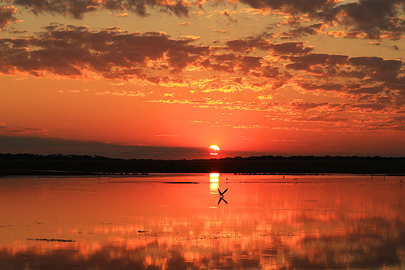 Sunset - Liuwa plain NP