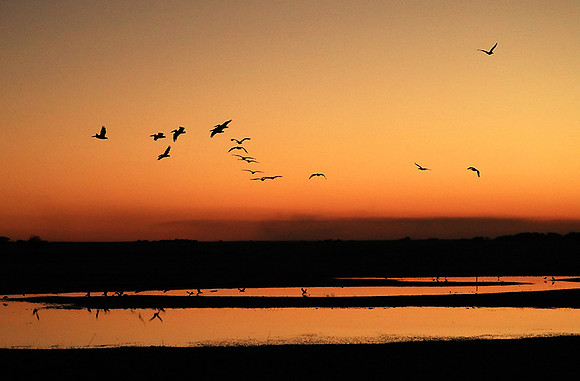 Sunset - Liuwa Plain NP