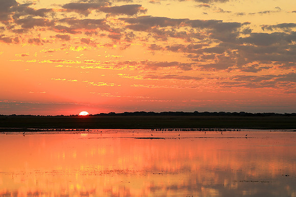 Sunset - Liuwa Plain NP
