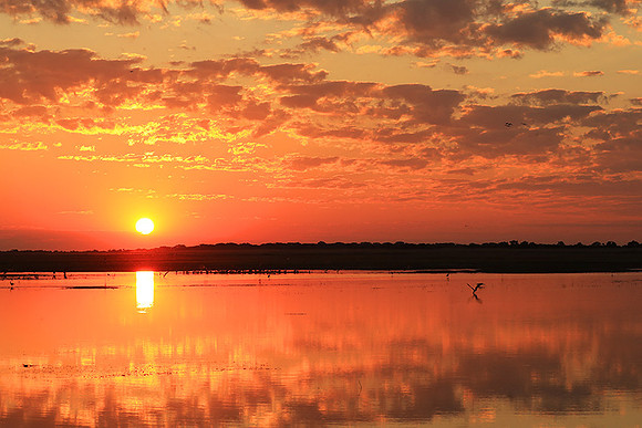 Sunset - Liuwa Plain NP