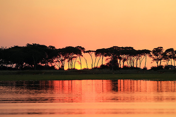 sunset - Kafue National Park