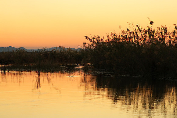 Sunset - Lower Zambezi NP