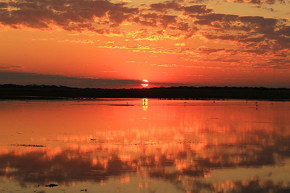 Sunset - Liuwa Plain NP