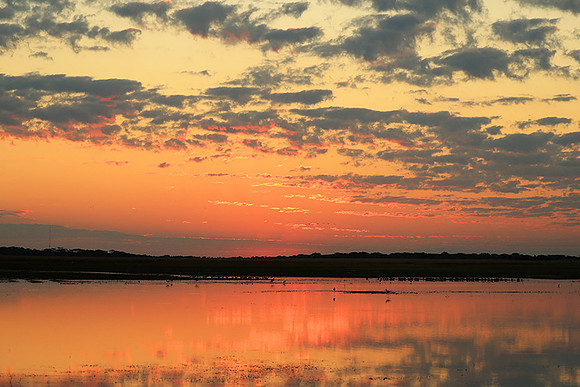 Sunset - Liuwa Plain NP