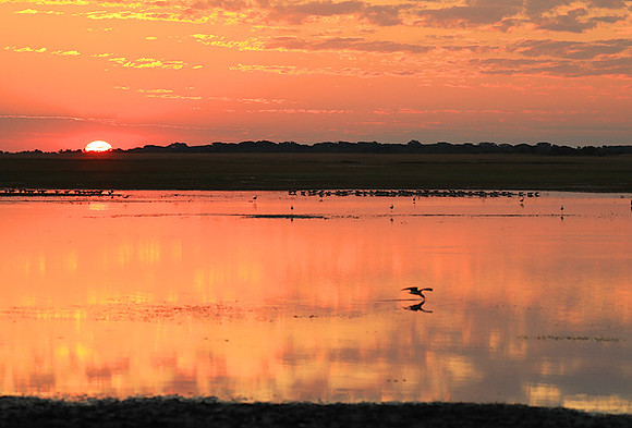 Sunset - Liuwa Plain NP