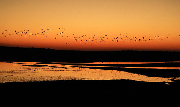 Sunset - Liuwa Plain NP