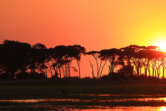 sunset - Kafue National Park