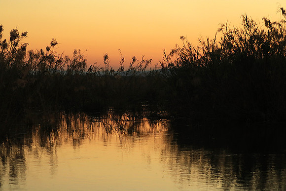Sunset - Lower Zambezi NP