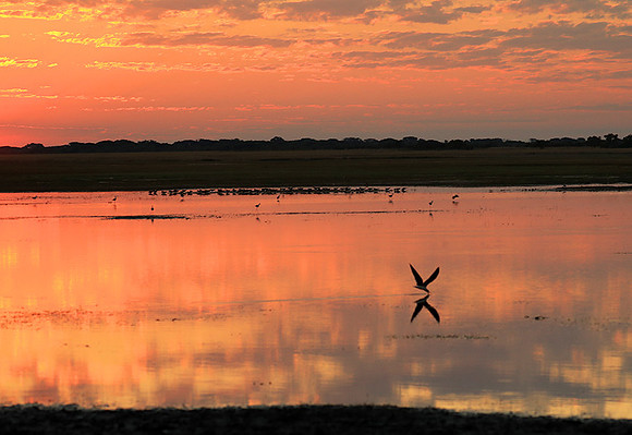 Sunset - Liuwa Plain NP