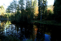 Etang Framboise - France