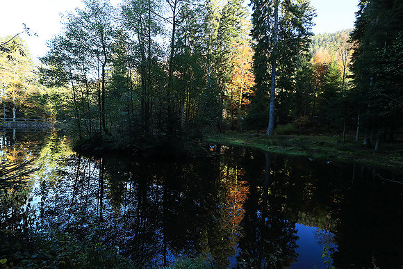 Etang Framboise - France