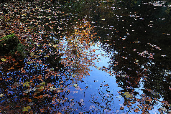 Etang Coucou - France