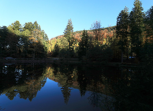 Etang Coucou - France