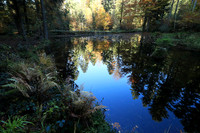 Etang Framboise - France