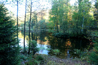 Etang Framboise - France