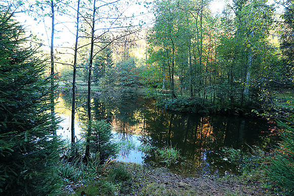 Etang Framboise - France