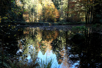 Etang Framboise - France