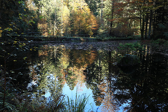 Etang Framboise - France