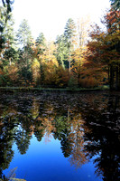 Etang Framboise - France