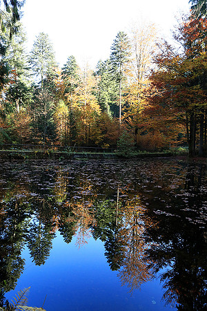 Etang Framboise - France