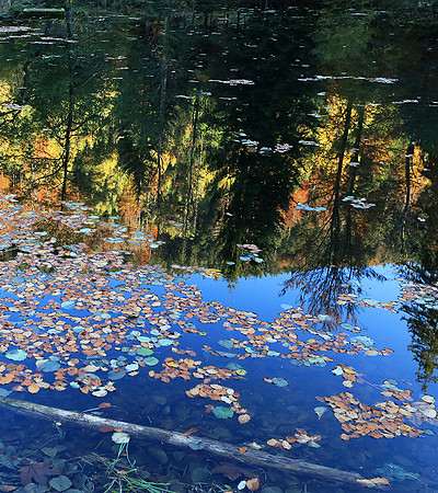 Etang Coucou - France