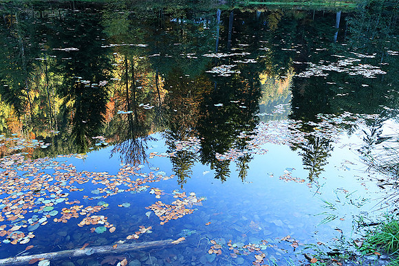 Etang Coucou - France