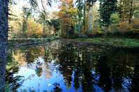 Etang Framboise - France