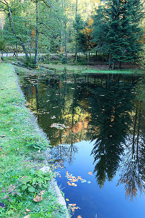 Etang Coucou - France